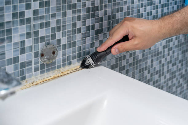 Home Mold Removal in Brackettville, TX
