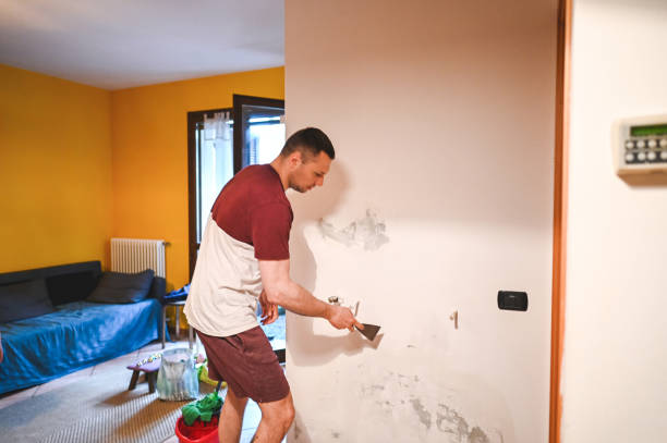 Best Mold Damage Repair  in Brackettville, TX